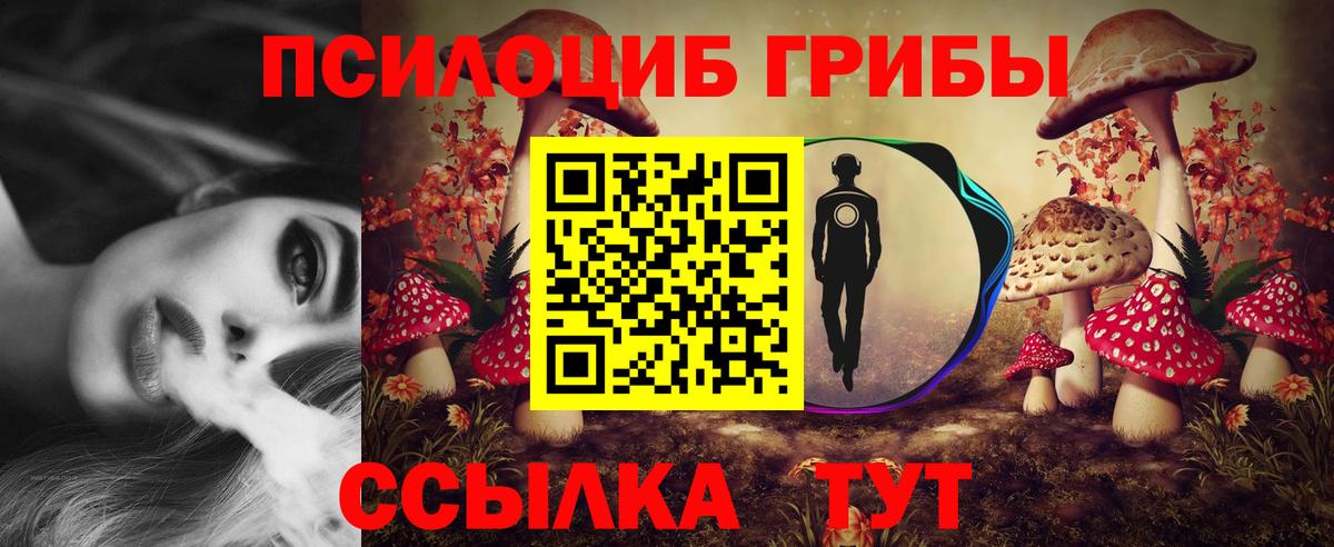 Галлюциногенные грибы прущие грибы Йошкар-Ола